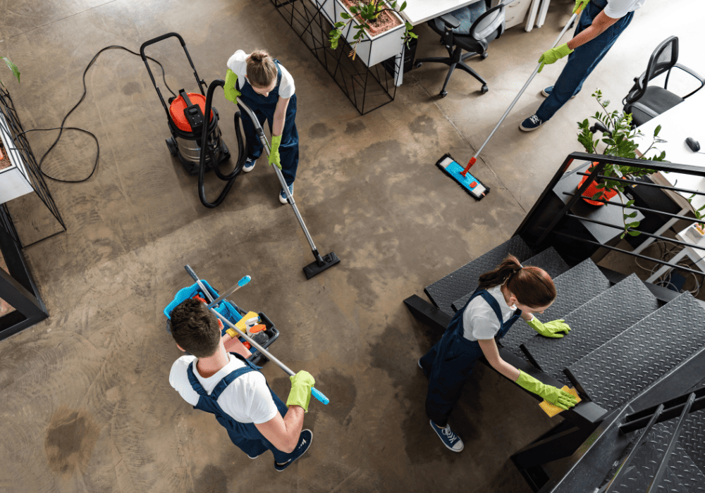 Equipamiento especializado para una limpieza profesional